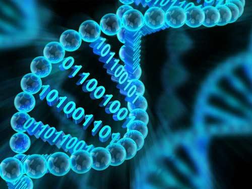 سومین سمپوزیوم بین المللی و پنجمین سمپوزیوم ملی علوم بیولوژیک (Computational Biology)