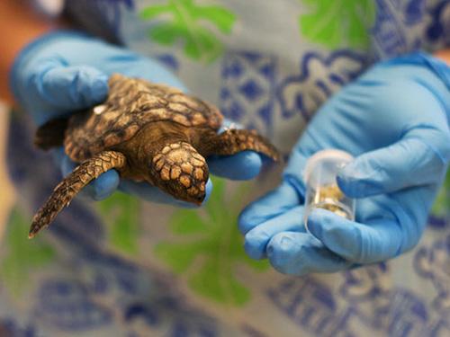 بیست و یکمین کنگره ملی و نهمین کنگره بینالمللی زیستشناسی ایران